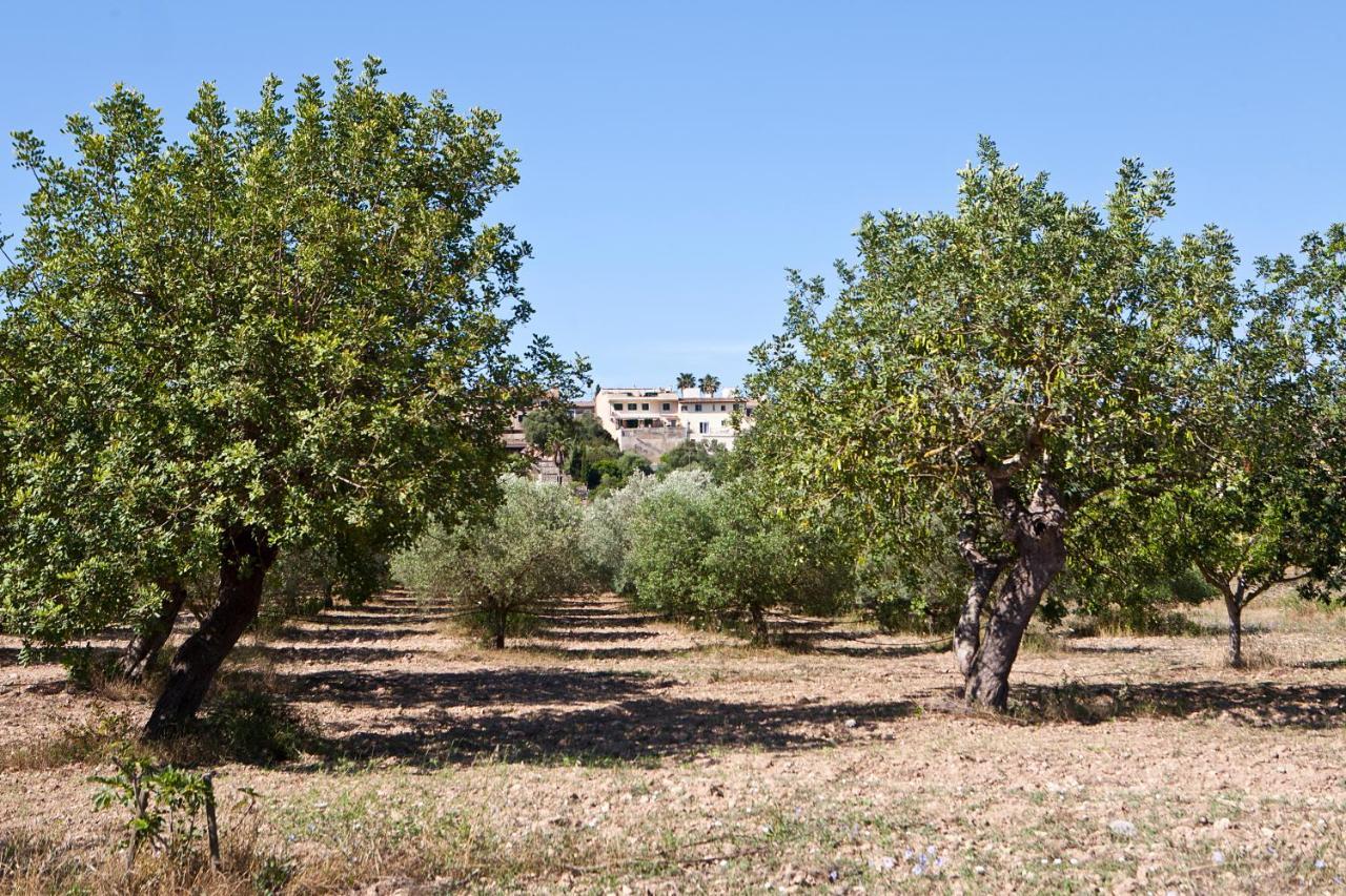 S'Hort De Son Caulelles - Adults Only Villa Marratxi Luaran gambar