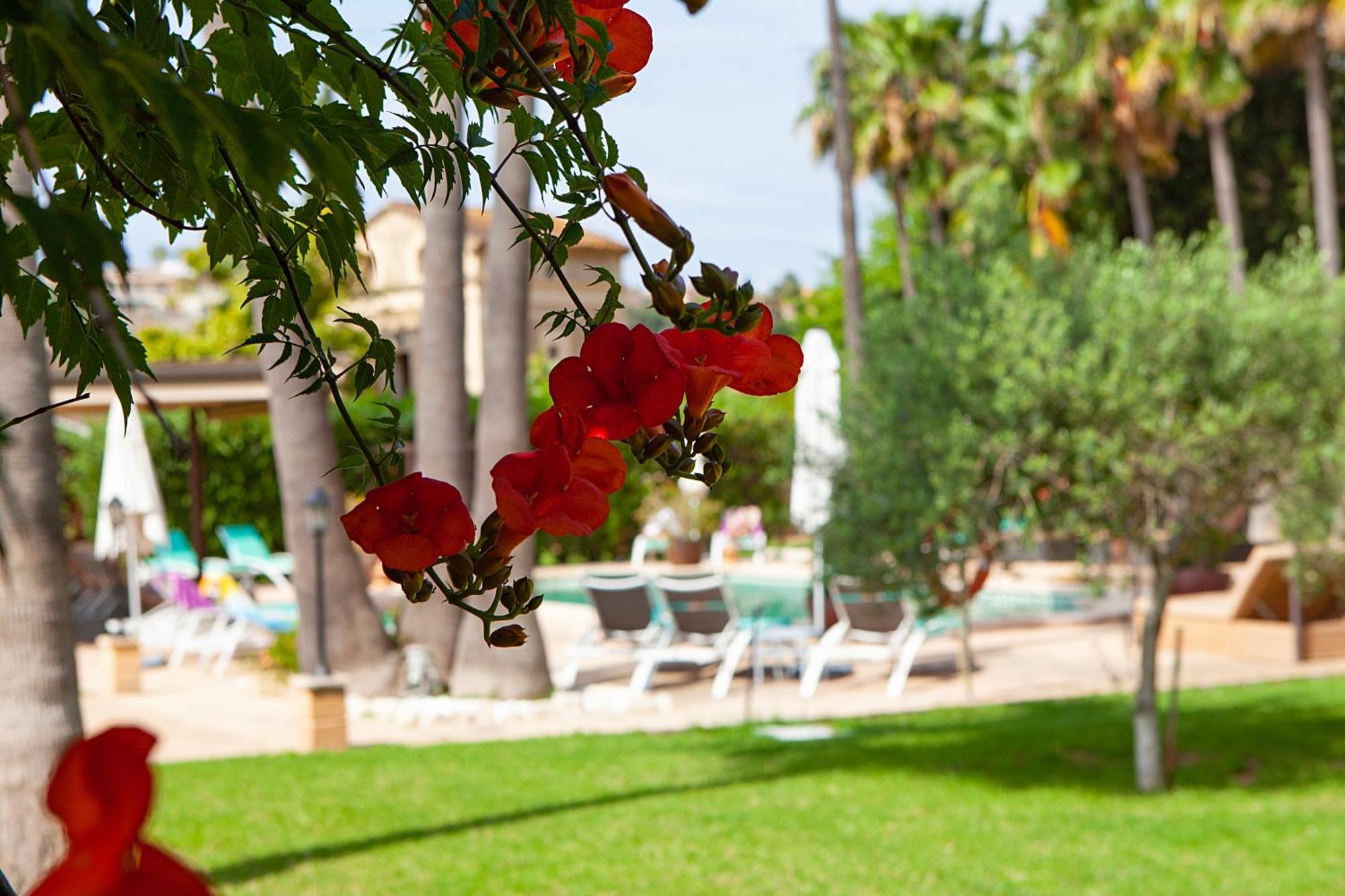 S'Hort De Son Caulelles - Adults Only Villa Marratxi Luaran gambar