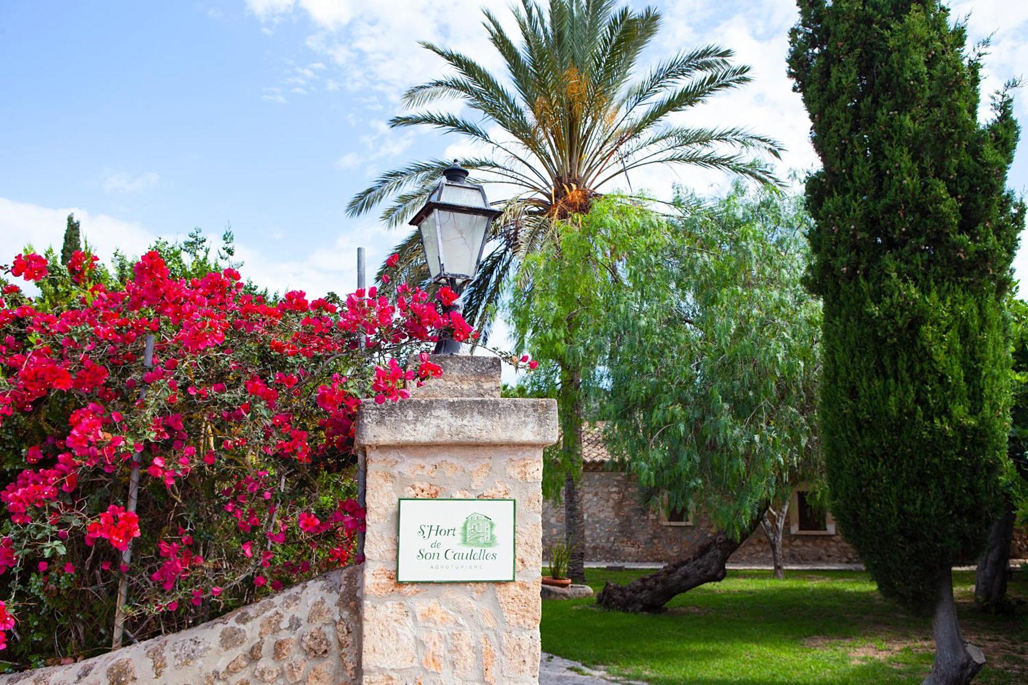 S'Hort De Son Caulelles - Adults Only Villa Marratxi Luaran gambar