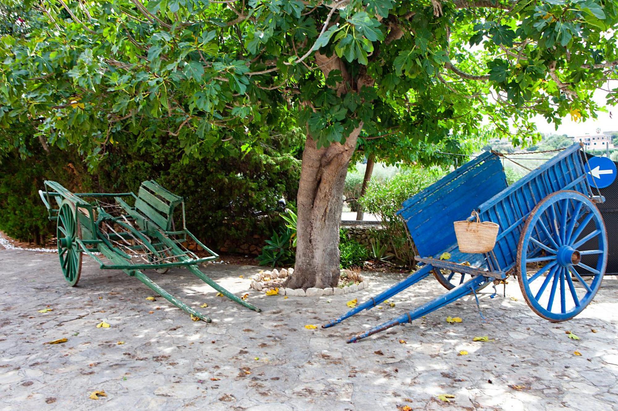 S'Hort De Son Caulelles - Adults Only Villa Marratxi Luaran gambar